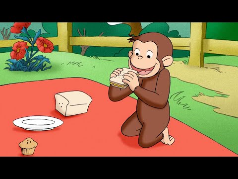 Coco macht ein Picknick | Coco der Neugierige | Cartoons für Kinder