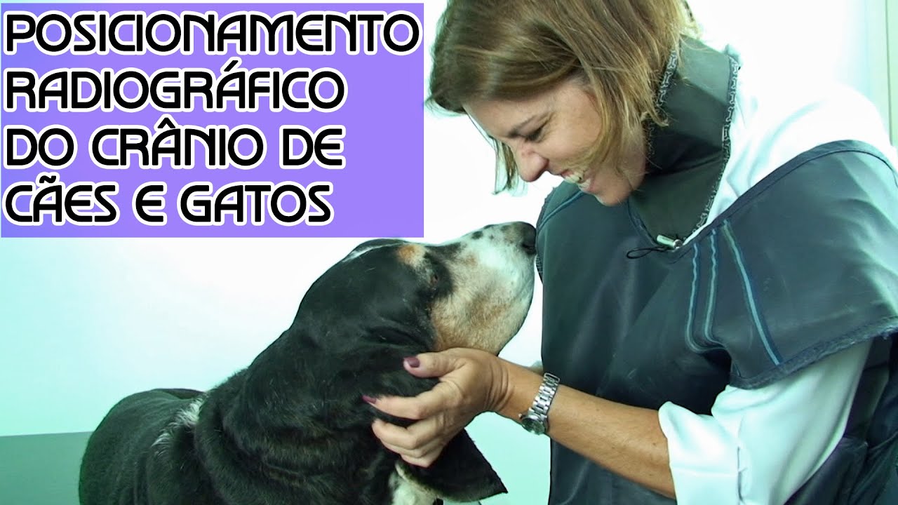 Posicionamento radiográfico do crânio de cães e gatos