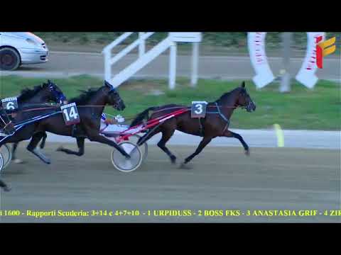 VII corsa del 5 ottobre 2022 - 5 Anni ed oltre Cat. G - Metri 1600