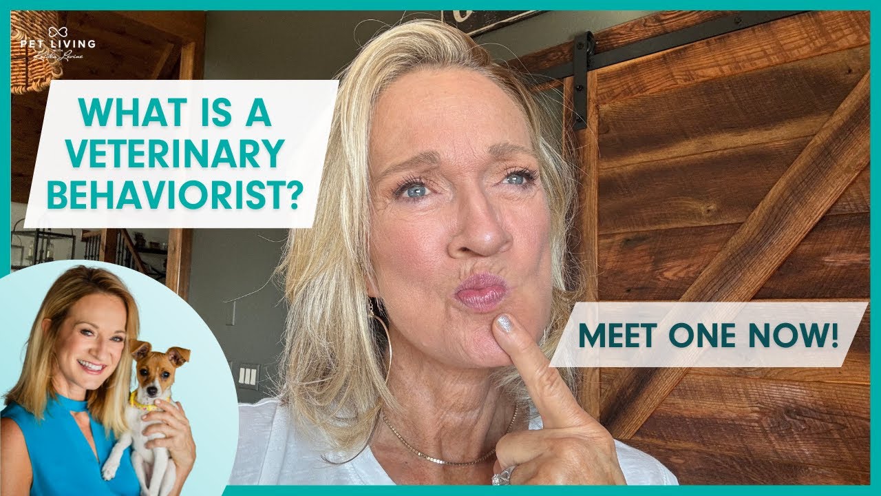 What is a Veterinary Behaviorist 🤔