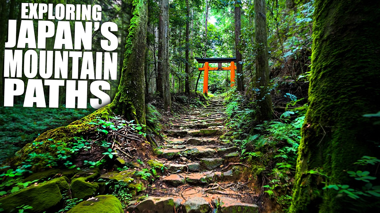 Exploring The Forest Trail Behind Japans BIGGEST Torii Gate