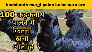 100 कडकनाथ पालने में कितना खर्चा आता है | kadaknath chicken farming |