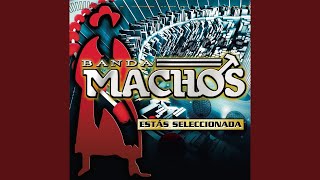 Los Calzones de la Dama