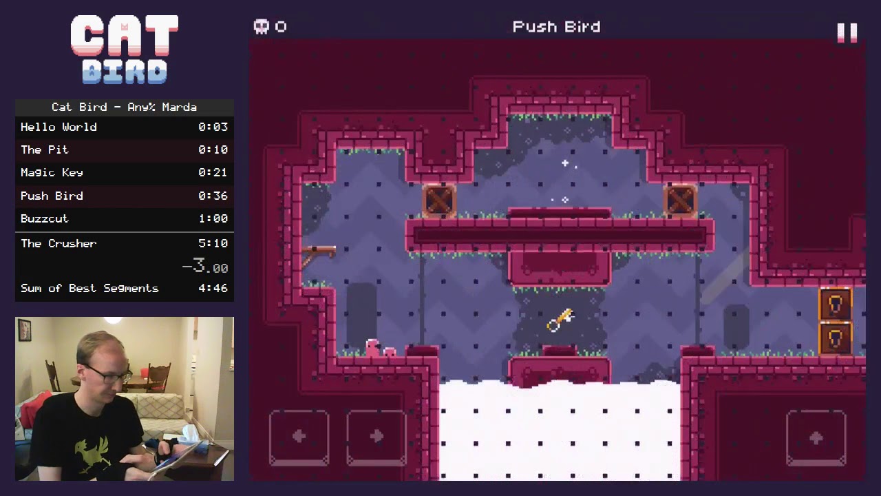 Cat Bird Any% Speedrun Tutorial - Push Bird