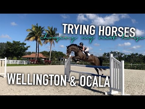 trying horses in wellington & ocala | REAVEAL OF MY NEW HORSE