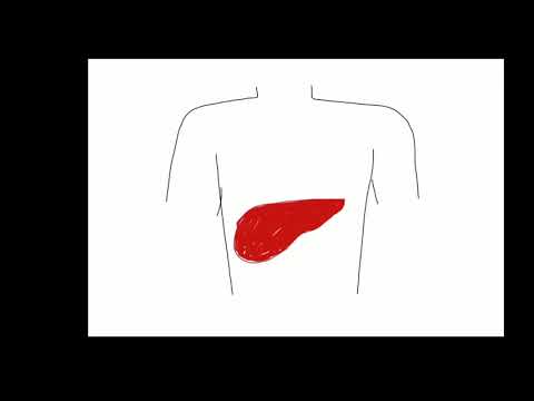 T1D CBL1 Group 37 Tuesday 4pm