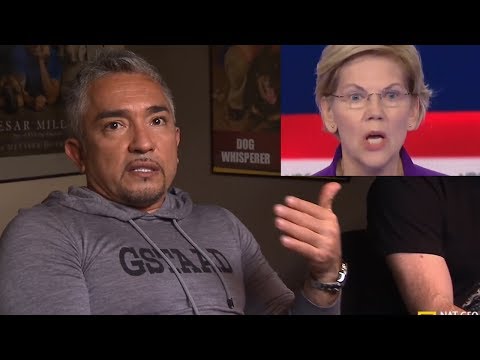 Dog Whisperer: Elizabeth Warren is an Anxious Puppy