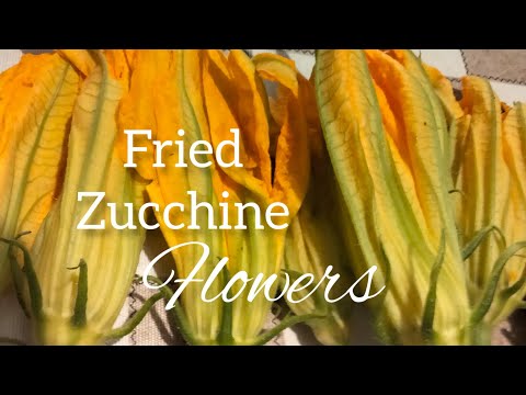 Fried  Zucchine Flowers recipes (Marife & family)