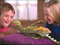 2000s Commercials On Cartoon Network Primetime Late 2001
