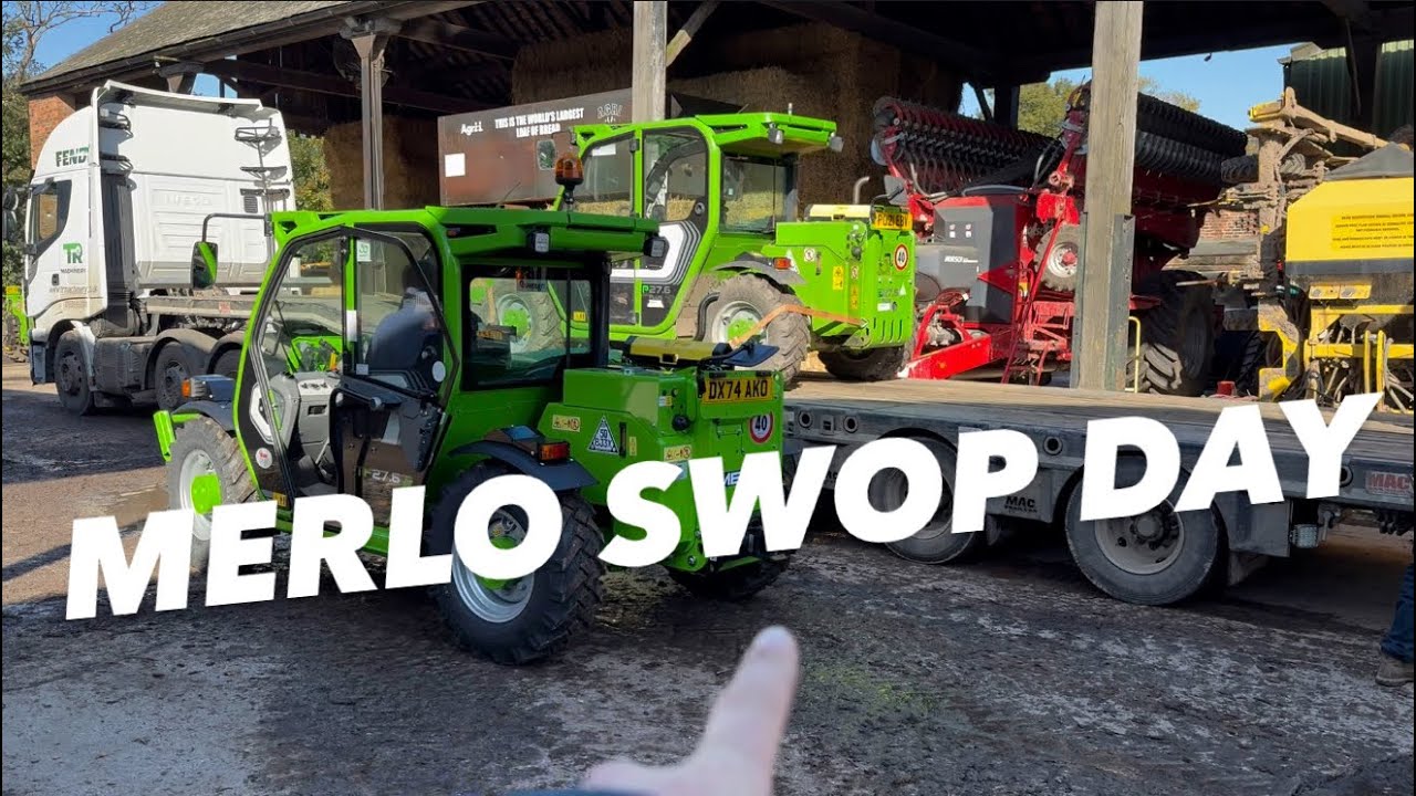 ITS MINI MERLO REPLACEMENT DAY AnswerAsAPercent 1668