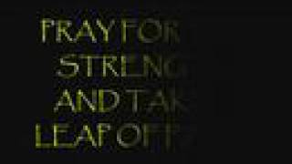 Leap of Faith - Sanctus Real