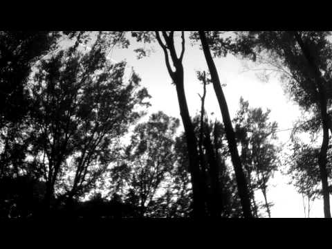 Thumbnail for A Life Of Agony - Dayz Gone By (Acoustic) by Life of Agony