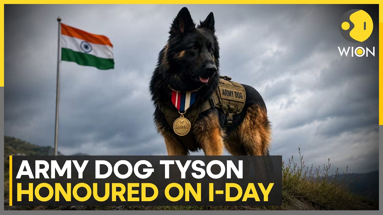 Feb 22: Army Dog Tyson Suffered Bullet Injury During J&K Anti-Terror Ops | WION News