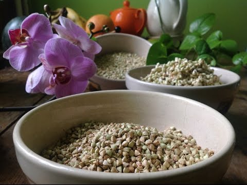 Gedörrte Buchweizenkeimlinge ~ Roher Vorrat