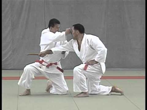 Kime no Kata 1002; Atemi Waza; Striking