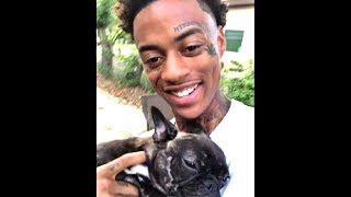 FUNNIEST BOONK STEALING VINES COMPILATION