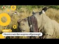 Geheime actie om neushoorns te redden