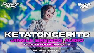 Download lagu DJ KETATON CERITO JINGLE BREWOG AUDIO SQUAD NETRAL VIRAL 2026 KARNAVAL BY NANDA NAFIS RMX mp3
