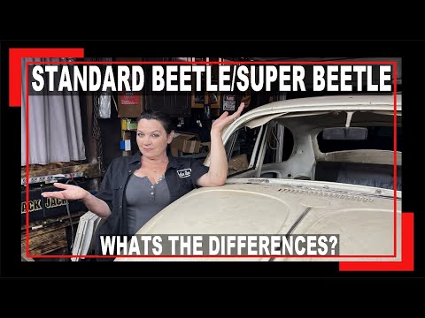 VW Standard Beetle VS Super Beetle - WHATS THE DIFFERENCE - HOW TO TELL - VW Bug - VW Classic Beetle