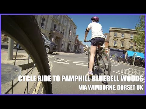 Cycle to Pamphill Bluebell Wood - 4K