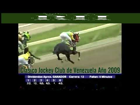 Hoy KING SERAF es ¡El mejor padrillo de Venezuela! Clásico Jockey Club de Venezuela año 2009.