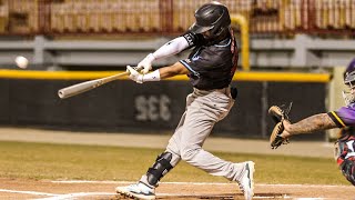 Edwin Arroyo 2025  full season highlights #pro #baseball