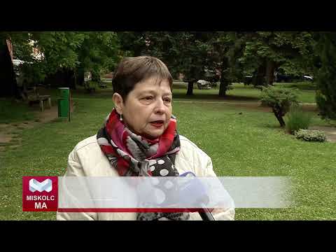 Videó előnézet