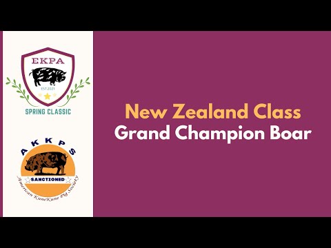 EKPA Spring Classic 2023 | New Zealand Class - Grand Champion Boar