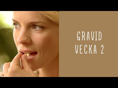 Gravid vecka 2