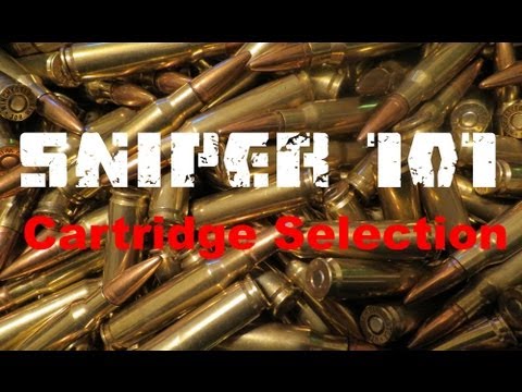 Long Range 101 Part 3 - Cartridge Selection -- Rex Reviews