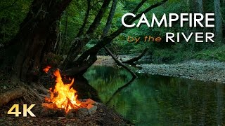 4K Campfire by the River - Relaxing Fireplace & Nature Sounds - Robin Birdsong  - UHD Video - 2160p