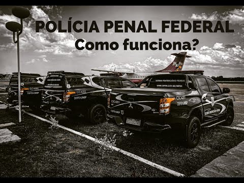 Polícia Penal Federal - Como funciona?