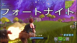 フォートナイト　迫る壁、逃げる俺ら