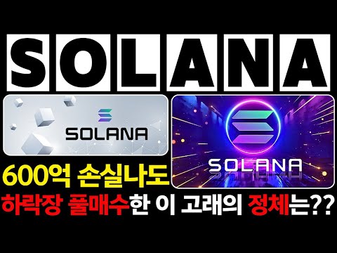 [솔라나] 긴급! 솔라나 600억 손실 보고도 풀매수 때려버리는 고래의 정체..그리고 그 뒷배경