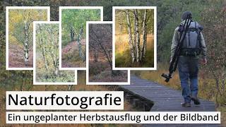 Naturfotografie: Ungeplanter HERBSTAUSFLUG (ohne Nebel) | Hohes Venn | Birken | 