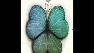 [ENG SUBS] Park Hyo Shin Happy Together Full Audio