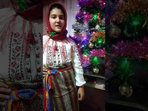 Iată vin colindatori