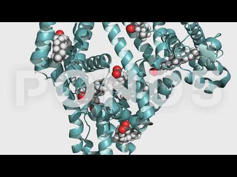download lagu mp3 mp4 Serum Wikipedia Español, download lagu Serum Wikipedia Español gratis, unduh video klip Serum Wikipedia Español