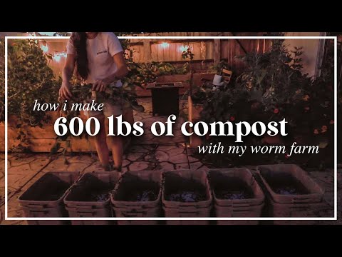 How I Make 600 Pounds of Compost with my Worm Farm (from garden scraps)