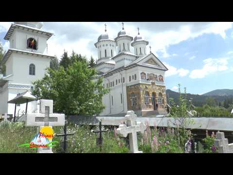 Hoinar  in Bucovina Panaci