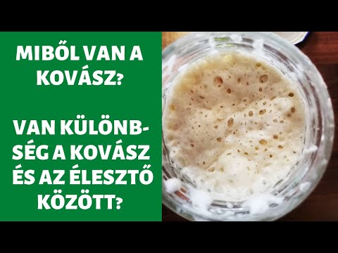 Miből van a kovász? Mi a különbség a kovász és az élesztő között?
