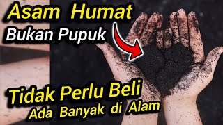 Download lagu ⛔ Humic Acid Is Not Fertilizer ⛔ Humic Acid Does Not Need to Be Purchased 💥There is a Lot of It i... mp3