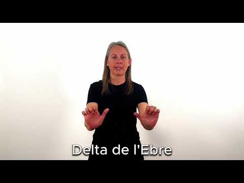 Delta de l'Ebre - LSC