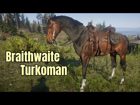 Getting the Braithwaite Turkoman - Short Version : Horse Flesh for Dinner : Red Dead Redemption 2