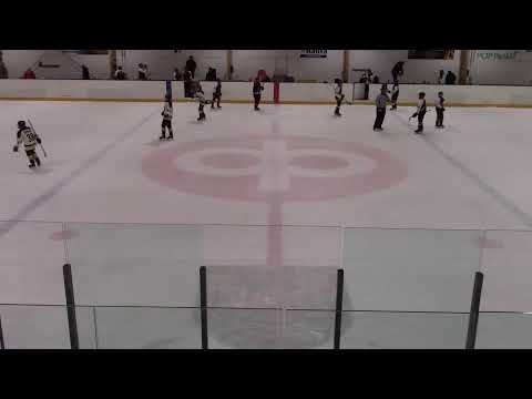 U14  AAA Cobrat-Kärpät valkoinen