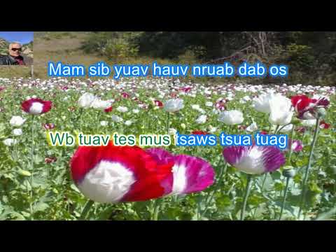 Paj Yeeb Ntsha Karaoke By: Kab Nqos Vas