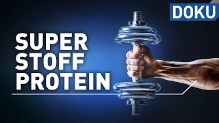 Superstoff Protein – macht Eiweiß schlank und fit? | alles wissen | doku