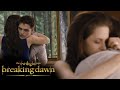 'You're A Lot Stronger Than I Am' | Twilight Saga: Breaking Dawn - Part 2