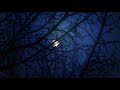 Lena Horne - Only the Moon and Me  [HD]