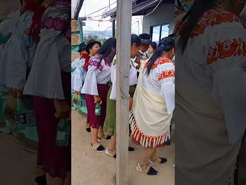 César Pupiales, en la rama de gallos en Pimampiro Imbabura Ecuador